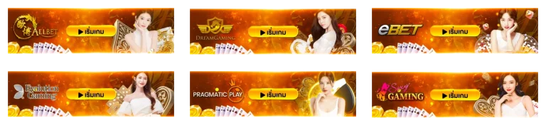 ฝาก1 รับ 30